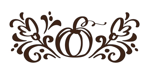 Vector pumpkin vegetable hand drawn floral autumn design elements isolated on white background