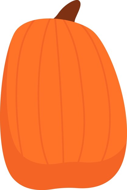 Vector pumpkin vegetable ripe