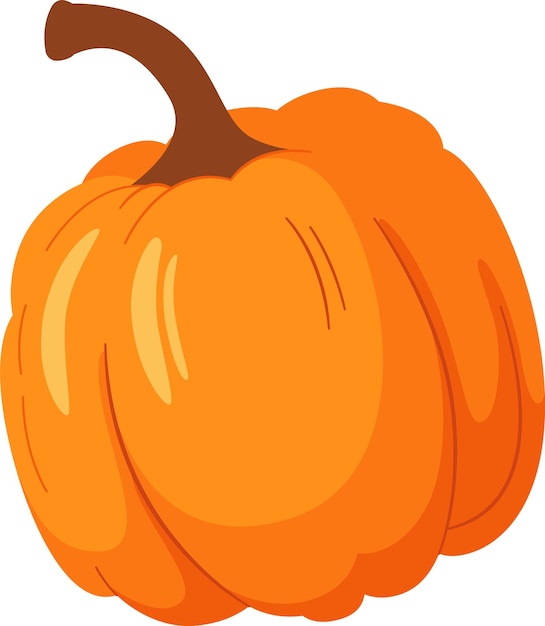 Vector pumpkin vegetable ripe