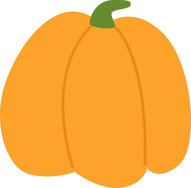 Pumpkin vegetable ripe