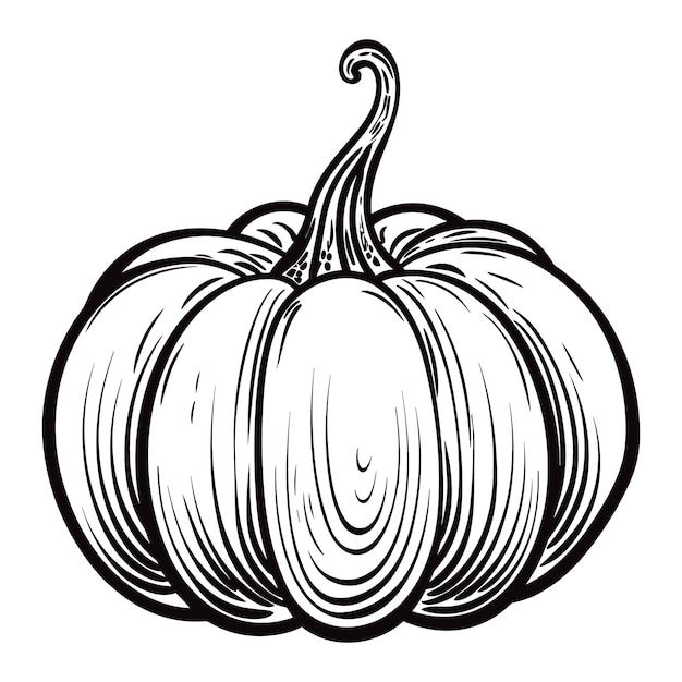 Illustrazione vettoriale di stampa xilografia vegetale di zucca