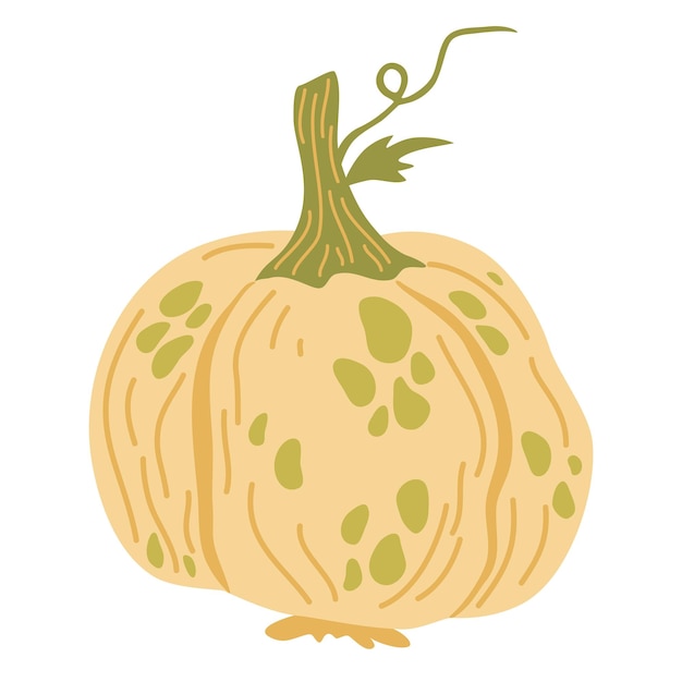 Тыква Овощи еда Осенний день благодарения и украшение Хэллоуина Ручной рисунок векторной карикатуры на белом фоне