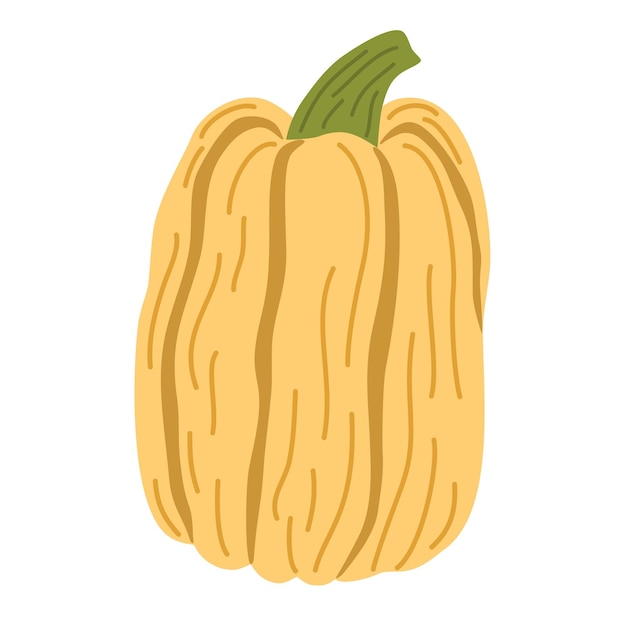 Zucca verdure cibo ringraziamento autunnale e decorazione di halloween disegnare a mano il fumetto vettoriale illustrazione isolato su sfondo bianco