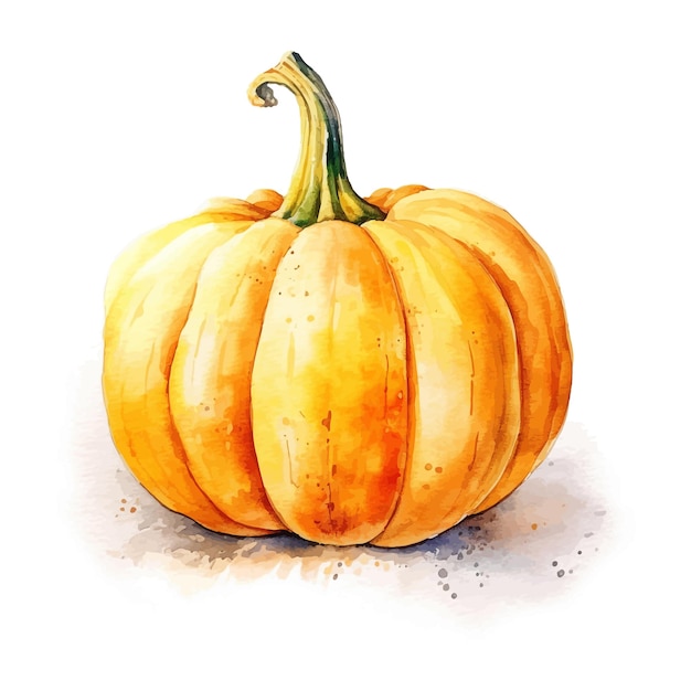 Pumpkin watercolor clipart