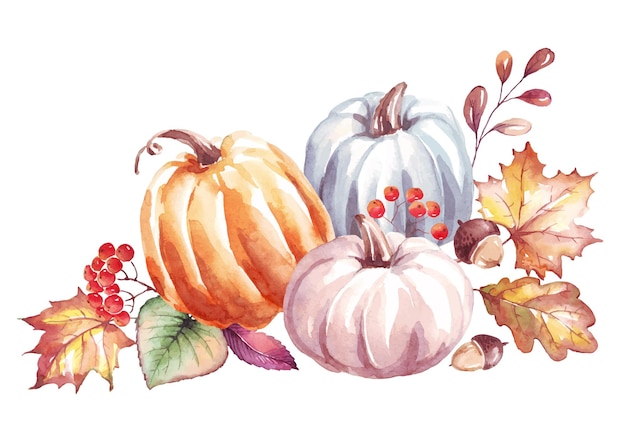 Clipart dell'acquerello di zucca