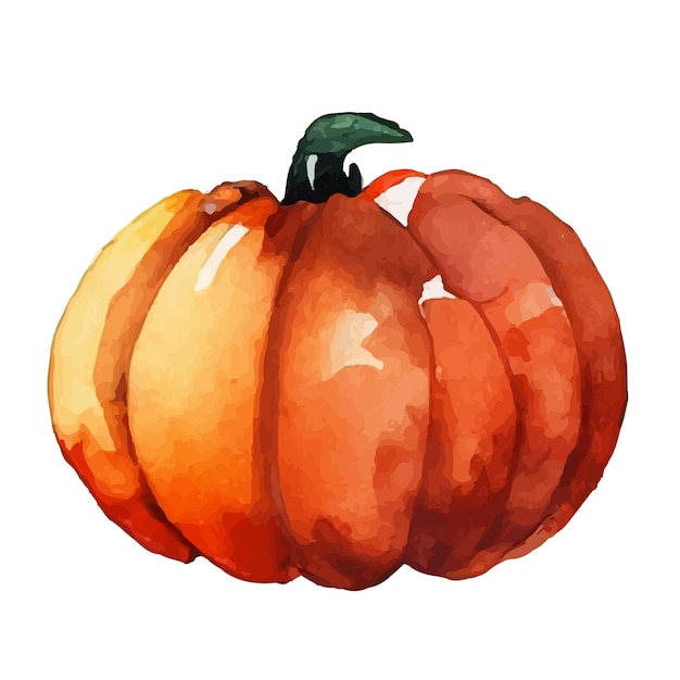 Vettore acquerello di zucca