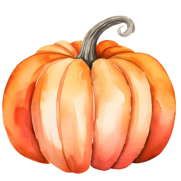 Vector pumpkin watercolor