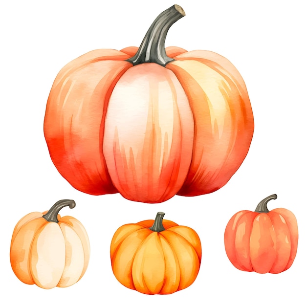 Vector pumpkin watercolor