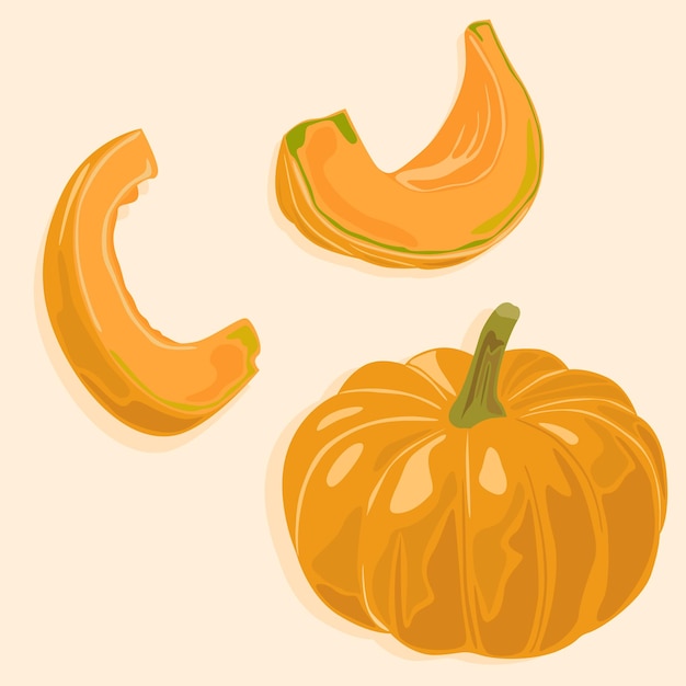 Vector pumpkin whole and cut into slices