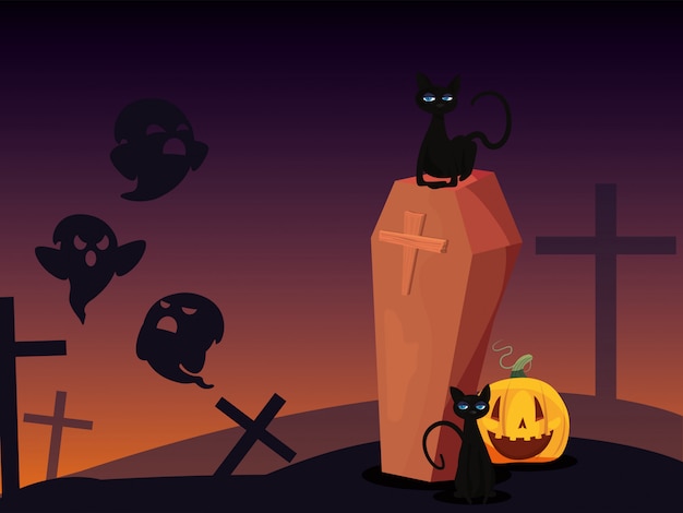 Pumpkin with black cat in scene of halloween
