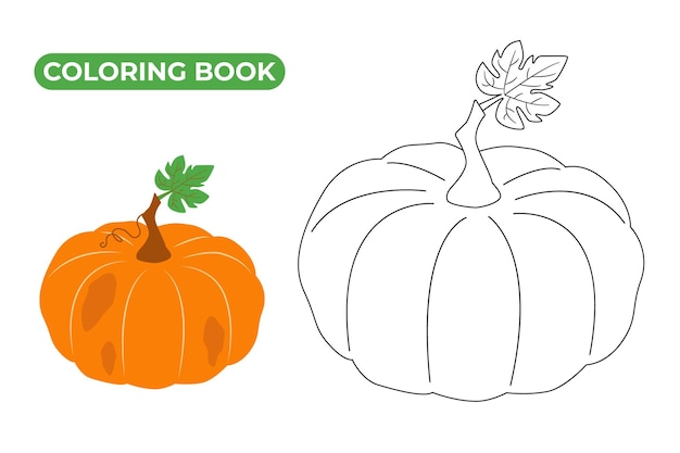 Pumpkin with leaf Line vector illustration Contour drawing of seasonal vegetable Hand drawn sketch doodle style Coloring book for kids