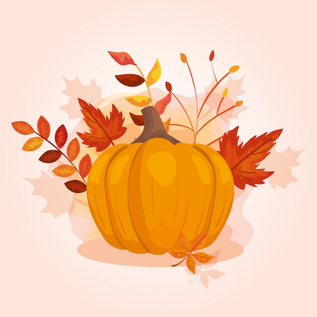 Pumpkin with leafs of autumn illustration