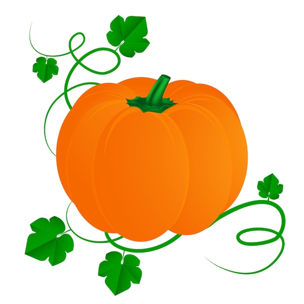 Vector pumpkin with leaves for halloween isolated on white background