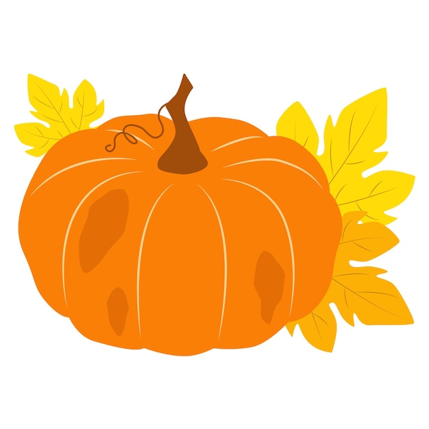 Pumpkin with leaves. Vector illustration on a white background.