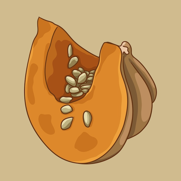 Vector pumpkin with seeds a piece of pumpkin