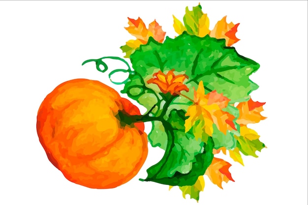 Pumpkin with sunflower flowers.Watercolor illustration in boho style.