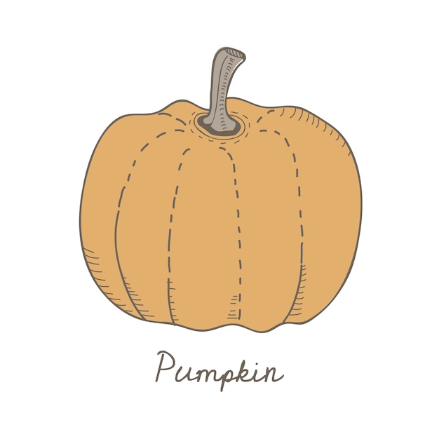 Vector a pumpkin