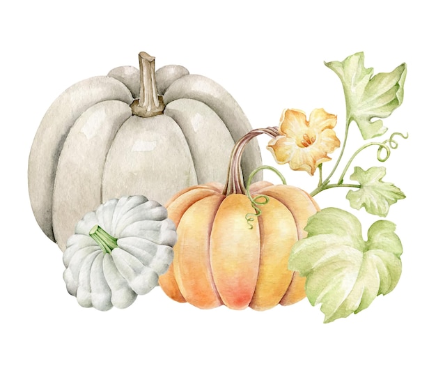 Vector pumpkins composition