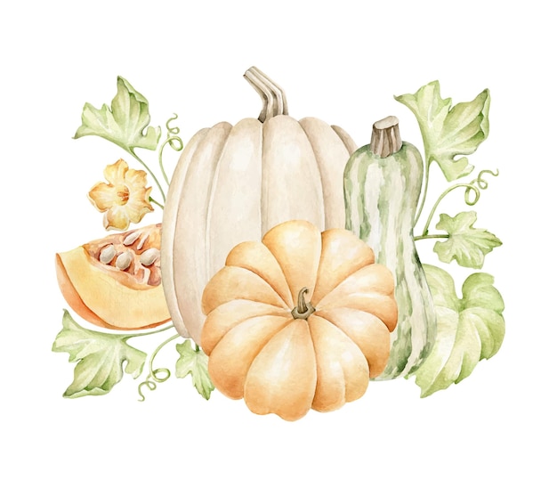 Vector pumpkins composition