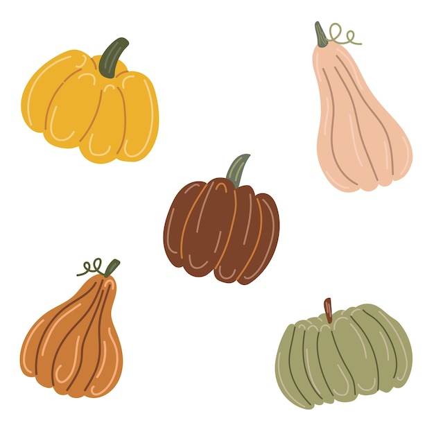 Pumpkins Hand drawing Set of elements Vector illustration