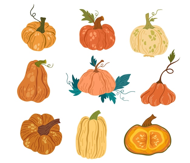 Pumpkins set Pumpkin shapes with leaves half with seeds and slices Autumn fall thanksgiving and halloween decoration Hand draw vector cartoon illustration