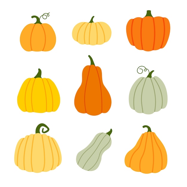 Vector pumpkins set in various shapes and colors. halloween and thanksgiving day. autumn decorative element