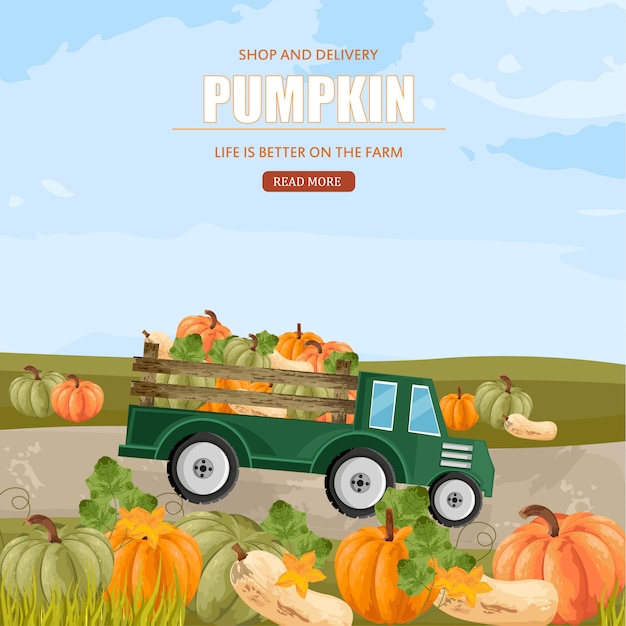 Pumpkins in a truck