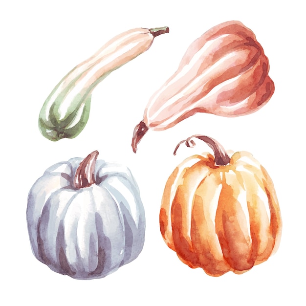 Pumpkins Watercolor clipart