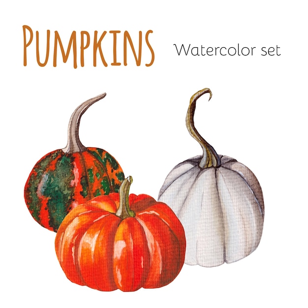 Vector pumpkins watercolor