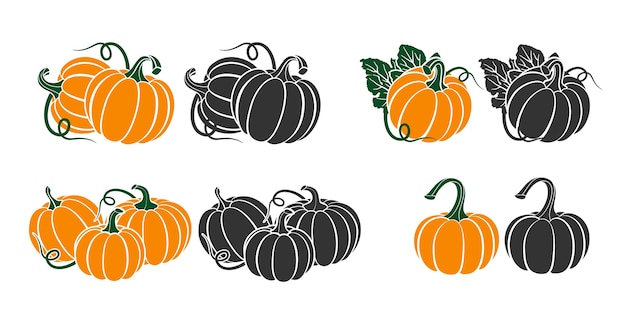 Pumpkins with leaves, silhouette illustration