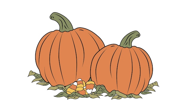 Pumpkins with leaves on white background