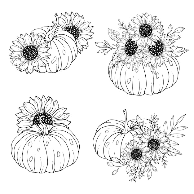 Pumpkins with Sunflowers Line Art Illustration Outline Pumpkin arrangement Hand Drawn Illustration