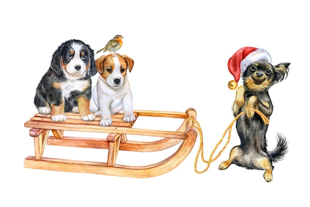 Puppies on a sleigh isolated on white background Illustration Watercolor