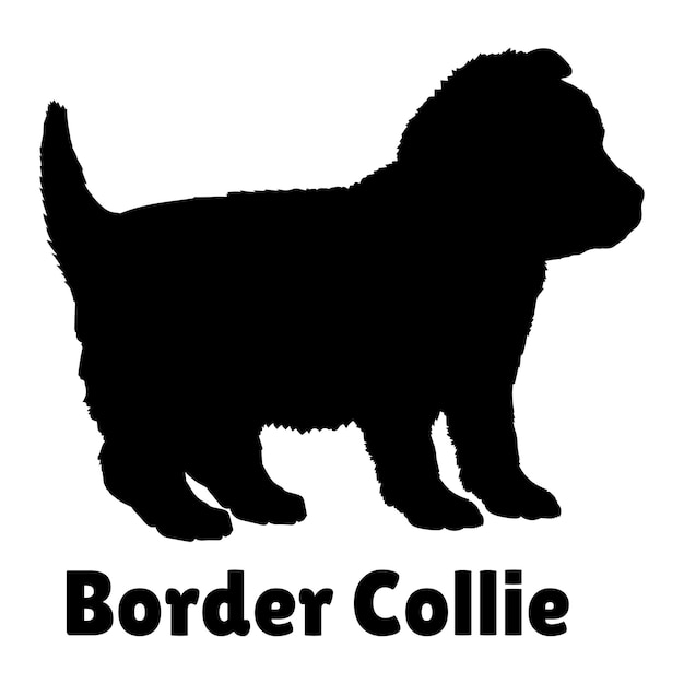 Puppy honden Border Collie silhouet Baby honden silhouet Puppy rassen