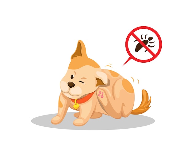 Puppy itchy cause lice pet problem parasite skin illustration vector