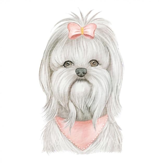 Puppy maltese hond leuk met de illustratie van de lintwaterverf