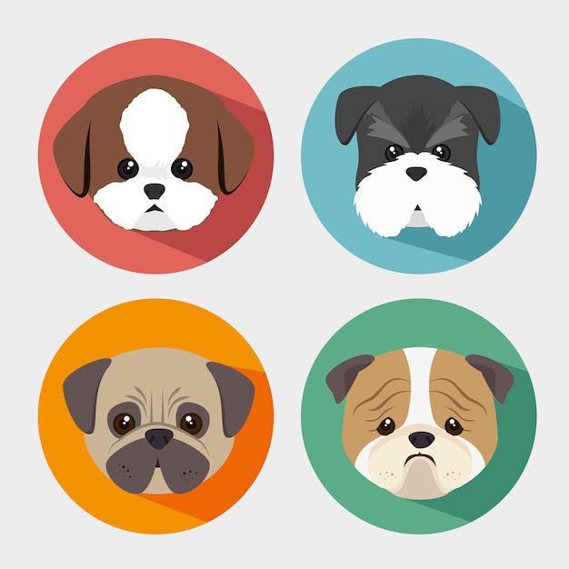 Purebred dogs design