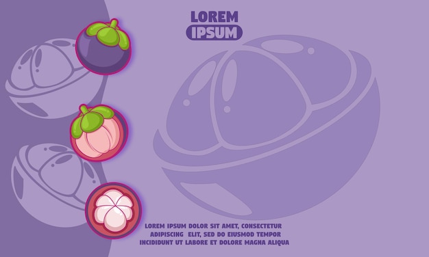 Vector purple background with silhouette of mangosteen icon