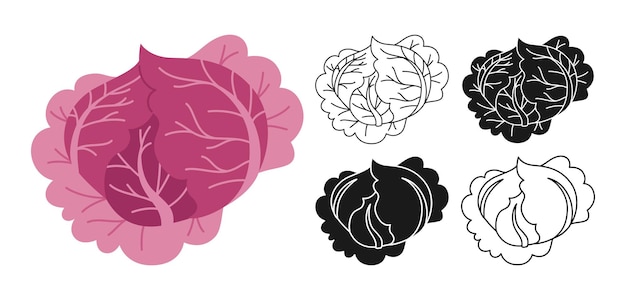 Vettore set di simboli lineari del fumetto di cavolo viola doodle stile silhouette cavoli viola icona vegetale