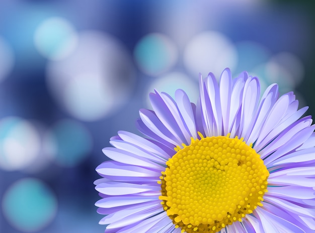 Vector purple daisy on blur background