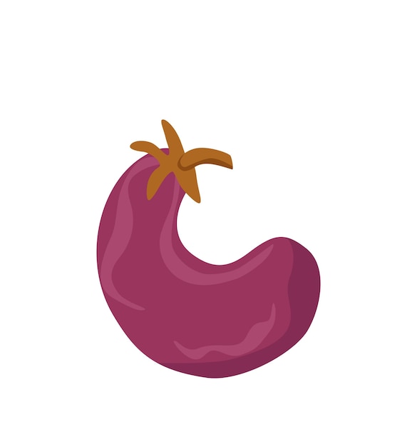 Фиолетовый баклажан в красочной мультяшном стиле векторные иллюстрации. Осенняя концепция времени сбора урожая со свежими спелыми органическими овощами. Шаблон оформления фермерского, эко, продовольственного рынка