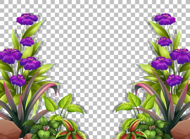 Vettore modello di cornice di fiori viola su sfondo trasparente