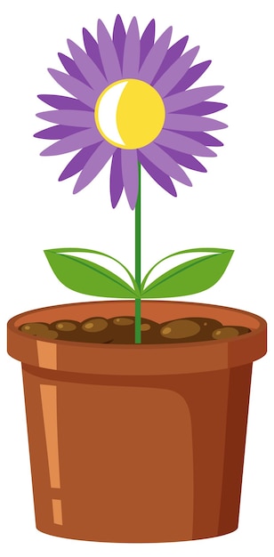 Vector purple flower in pot on white background