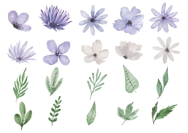 Purple Flower Watercolor Clipart