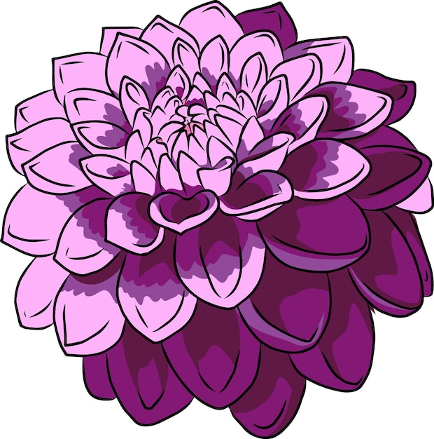 Vector purple flower