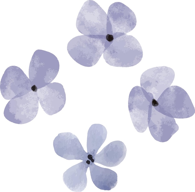 Purple flowers modern aesthetic organic illustration