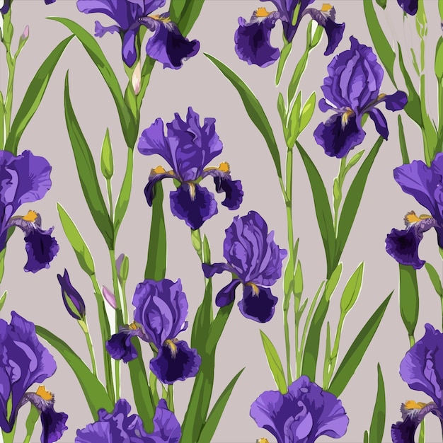 purple flowers with green leaves and yellow flowers on a gray background