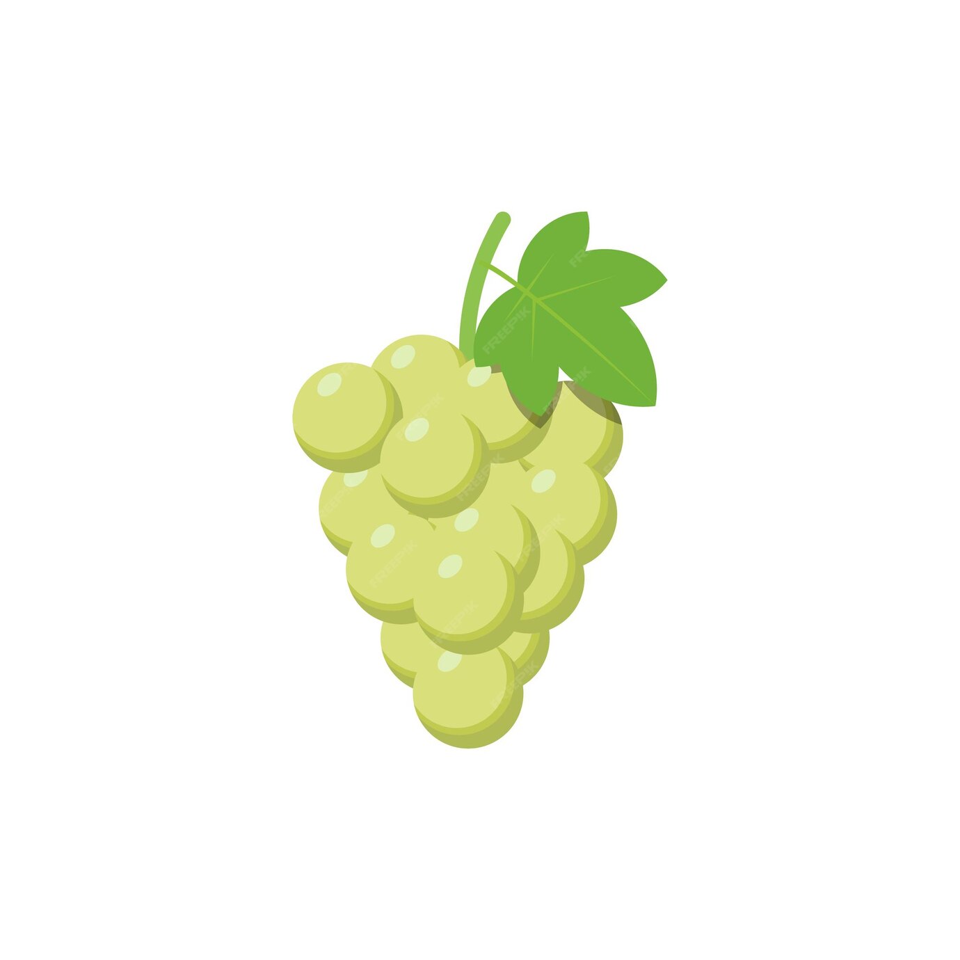 Premium Vector | Purple Grapes isolated on white background Vector