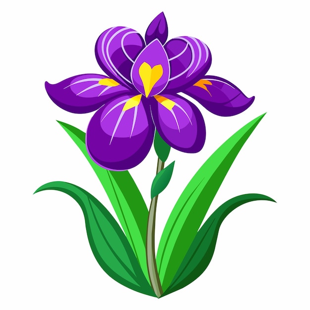Vector purple iris flower cartoon plant