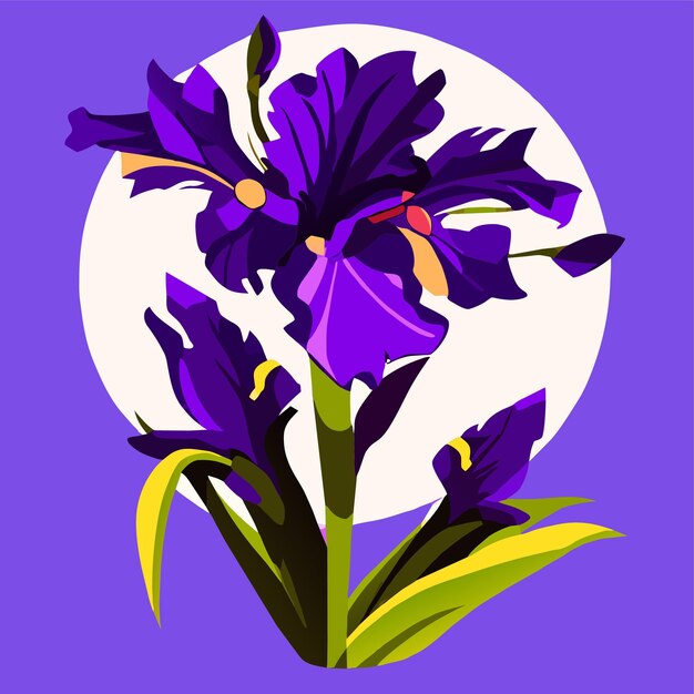 Vector purple iris flower with bright yellow elements on the petals spring